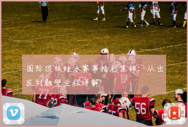 国际顶级蛙泳赛事精彩集锦:从出发到触壁全程详解
